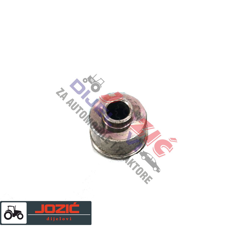 Daisy on the Ohoopee