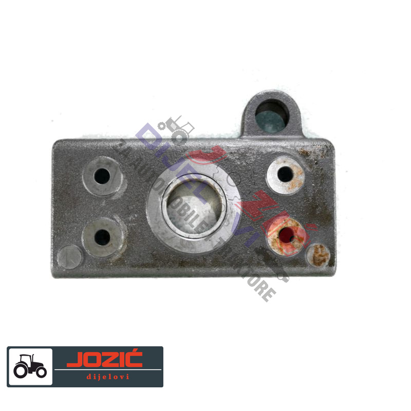 Daisy on the Ohoopee