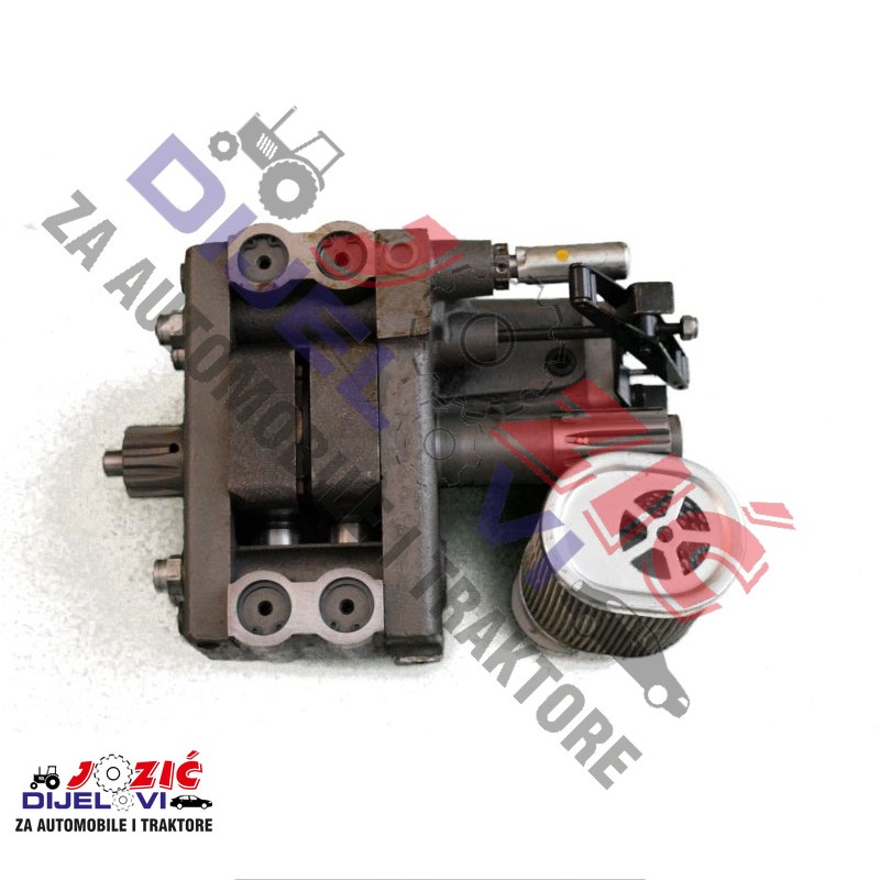 Daisy on the Ohoopee