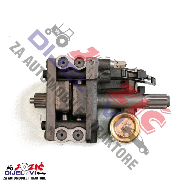 Daisy on the Ohoopee