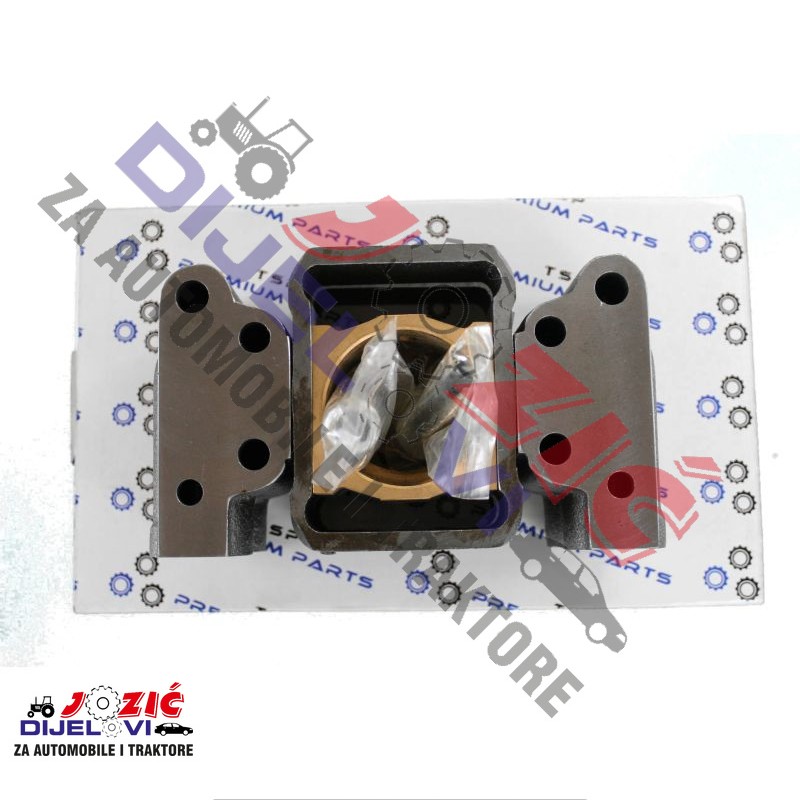 Daisy on the Ohoopee