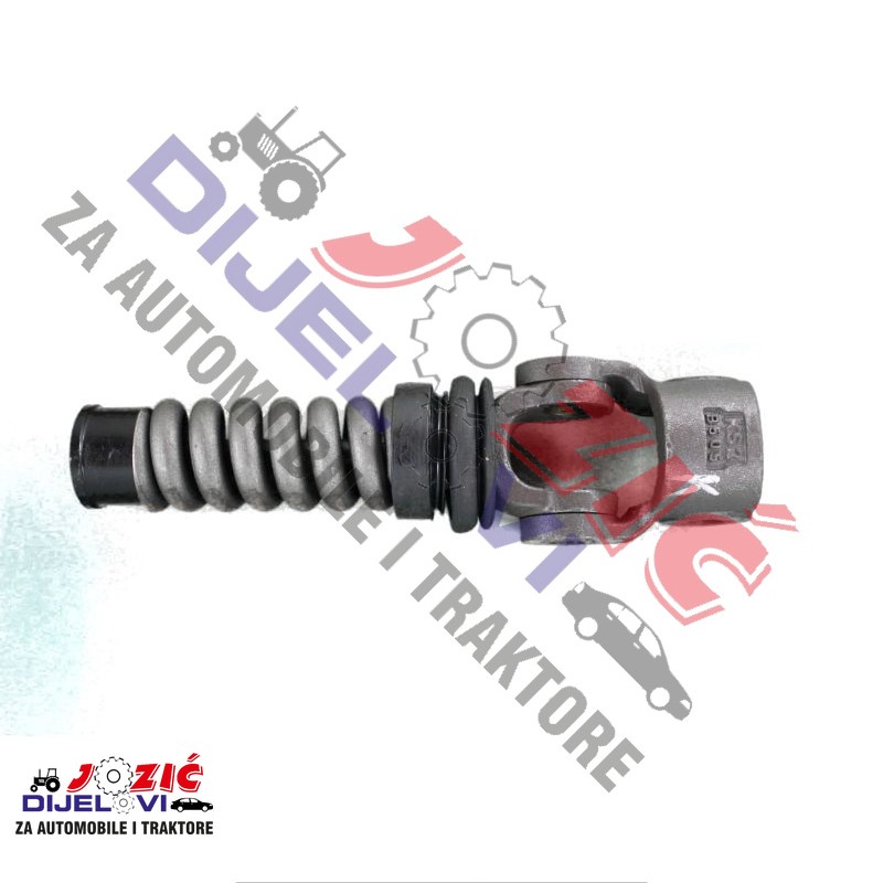 Daisy on the Ohoopee