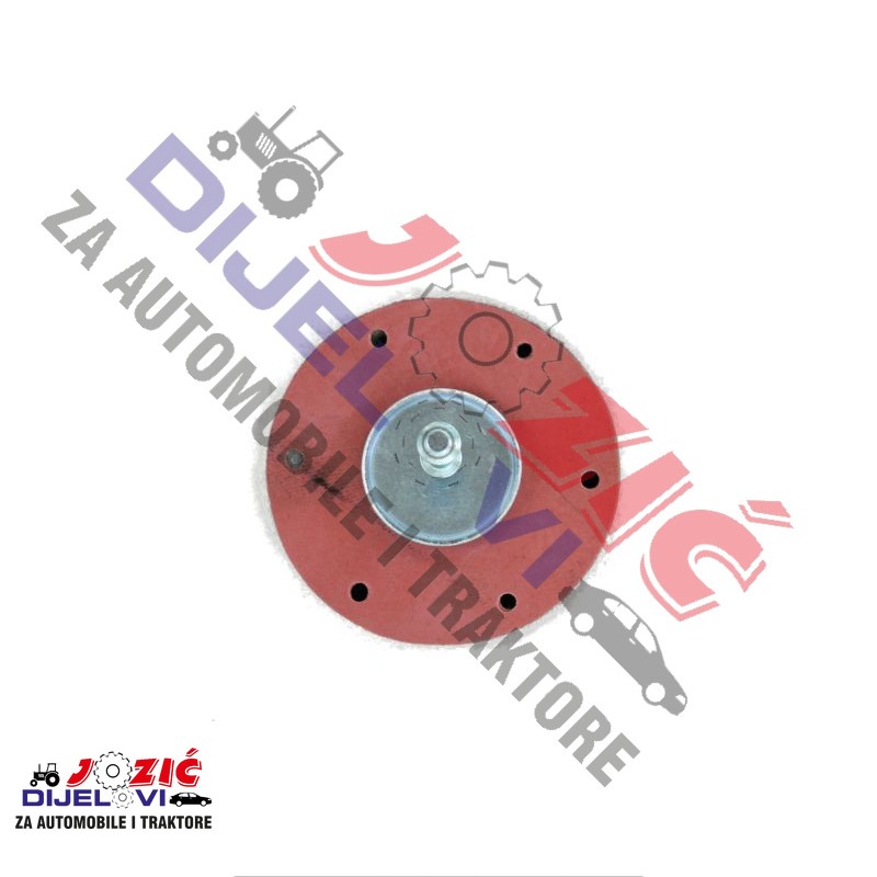 Daisy on the Ohoopee