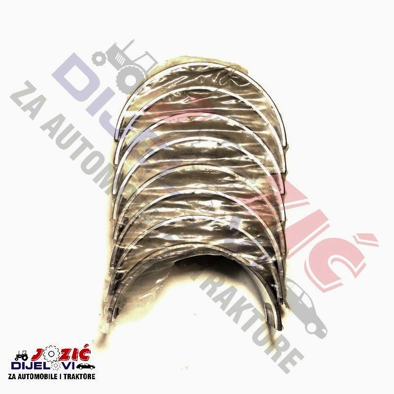 Daisy on the Ohoopee