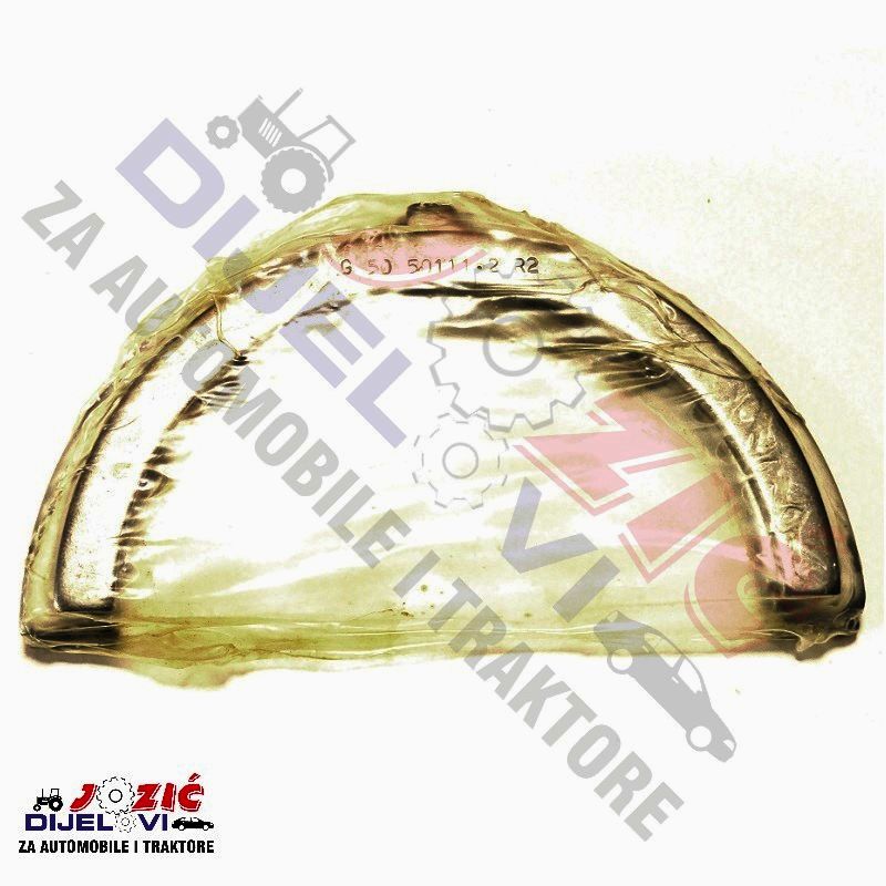 Daisy on the Ohoopee