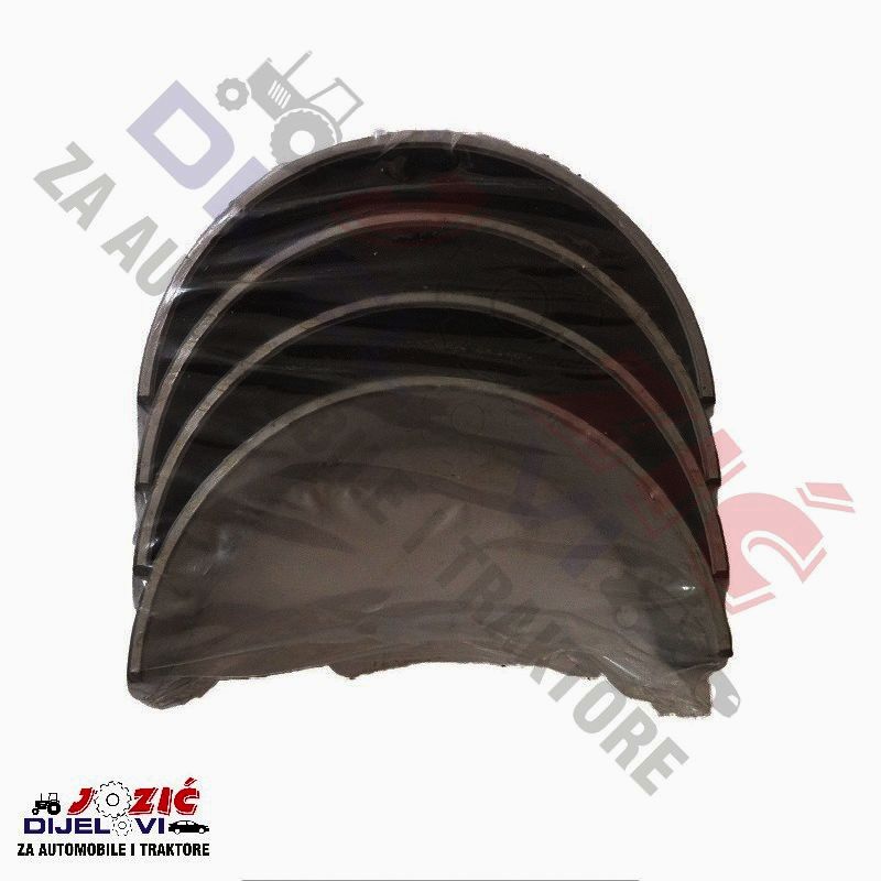 Daisy on the Ohoopee