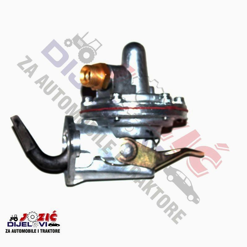 Daisy on the Ohoopee