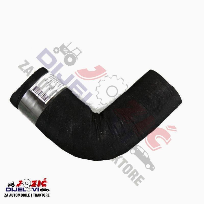 Daisy on the Ohoopee