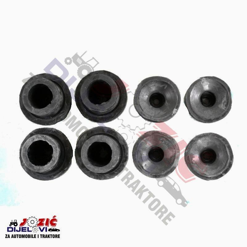 Daisy on the Ohoopee