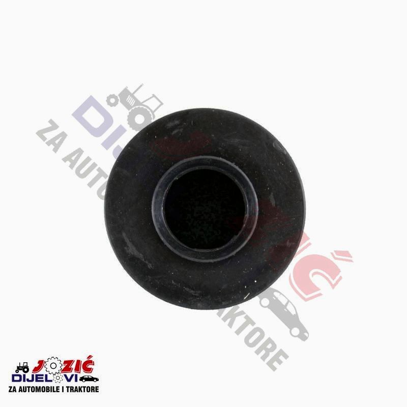 Daisy on the Ohoopee