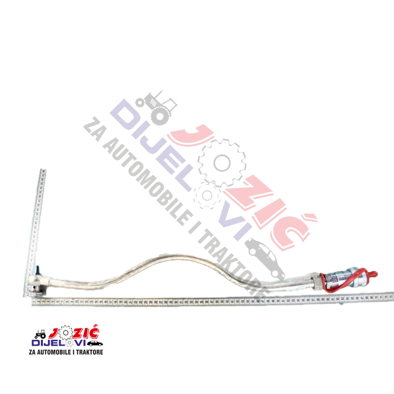 Daisy on the Ohoopee