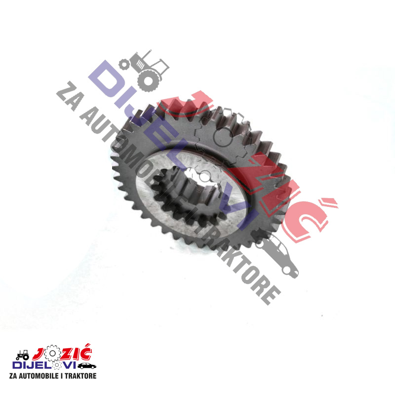 Daisy on the Ohoopee