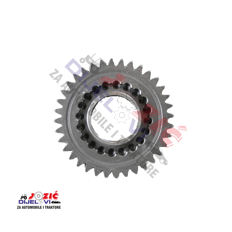 Daisy on the Ohoopee