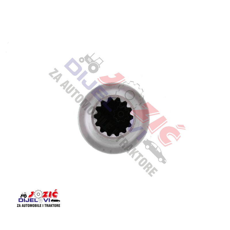 Daisy on the Ohoopee