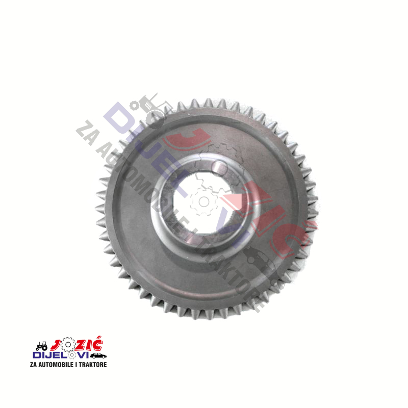 Daisy on the Ohoopee