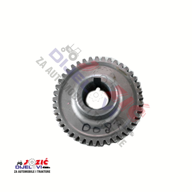 Daisy on the Ohoopee