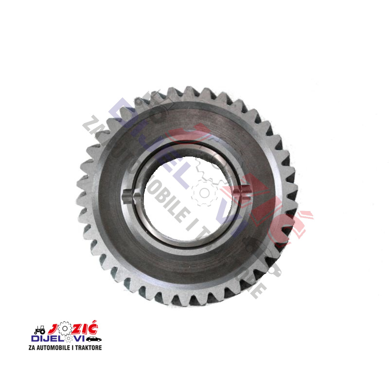 Daisy on the Ohoopee