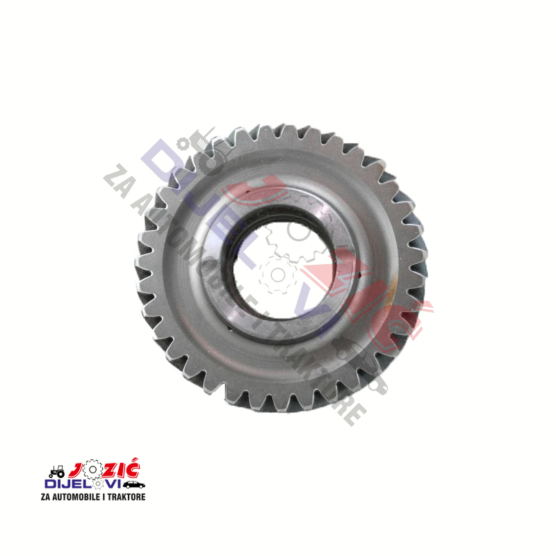 Daisy on the Ohoopee