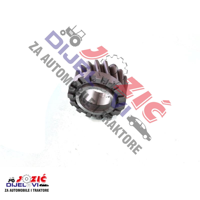 Daisy on the Ohoopee