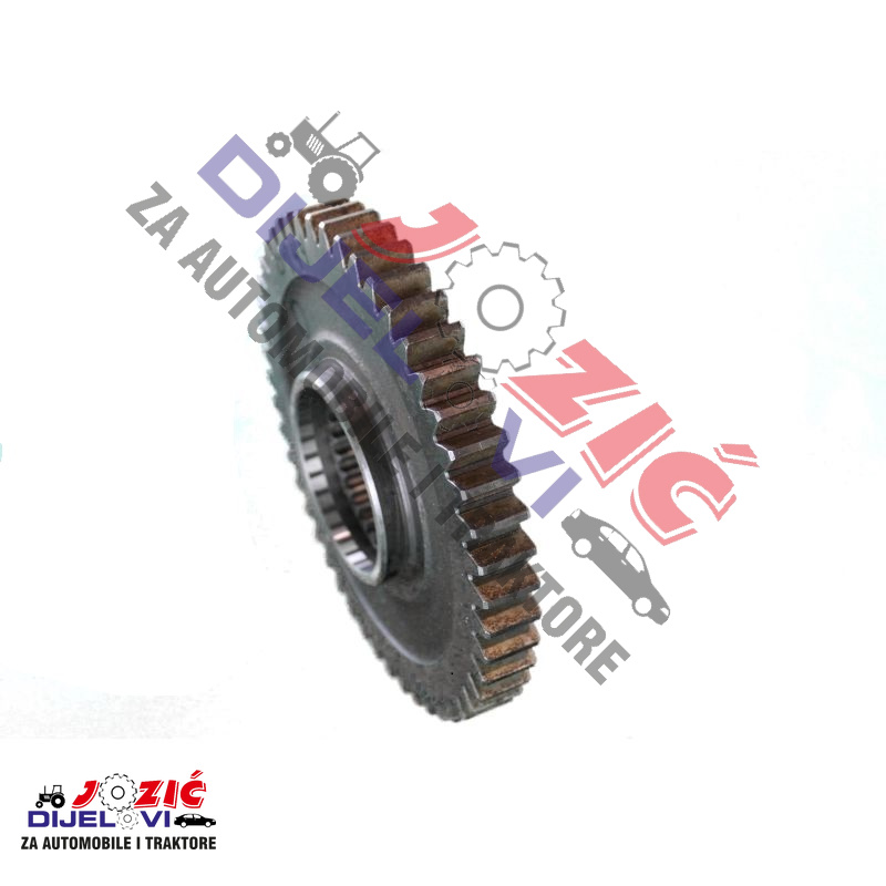 Daisy on the Ohoopee