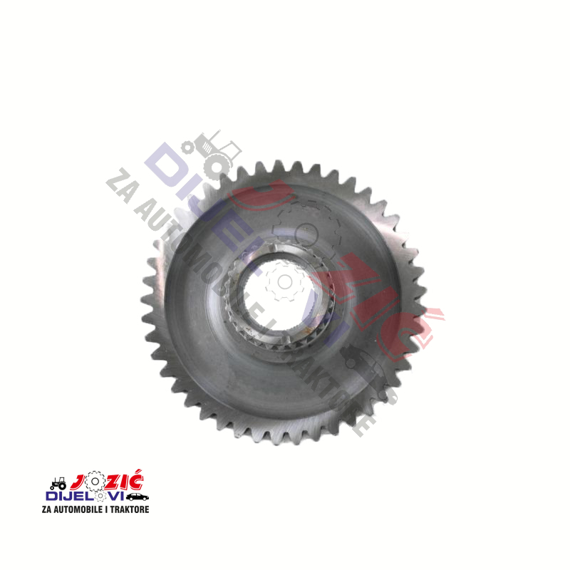 Daisy on the Ohoopee