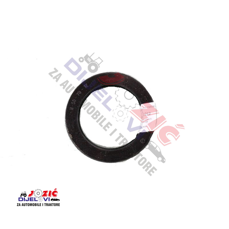 Daisy on the Ohoopee