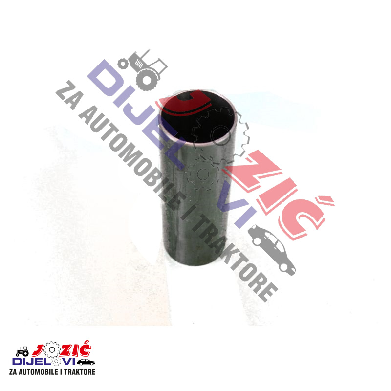 Daisy on the Ohoopee