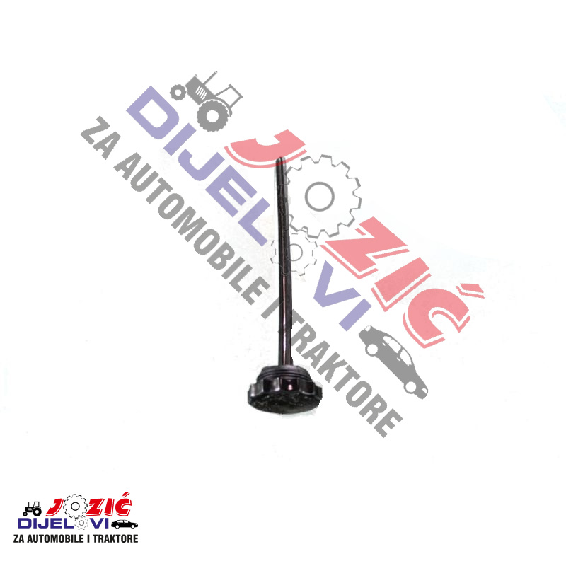 Daisy on the Ohoopee