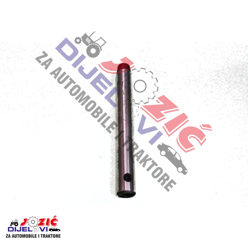 Daisy on the Ohoopee