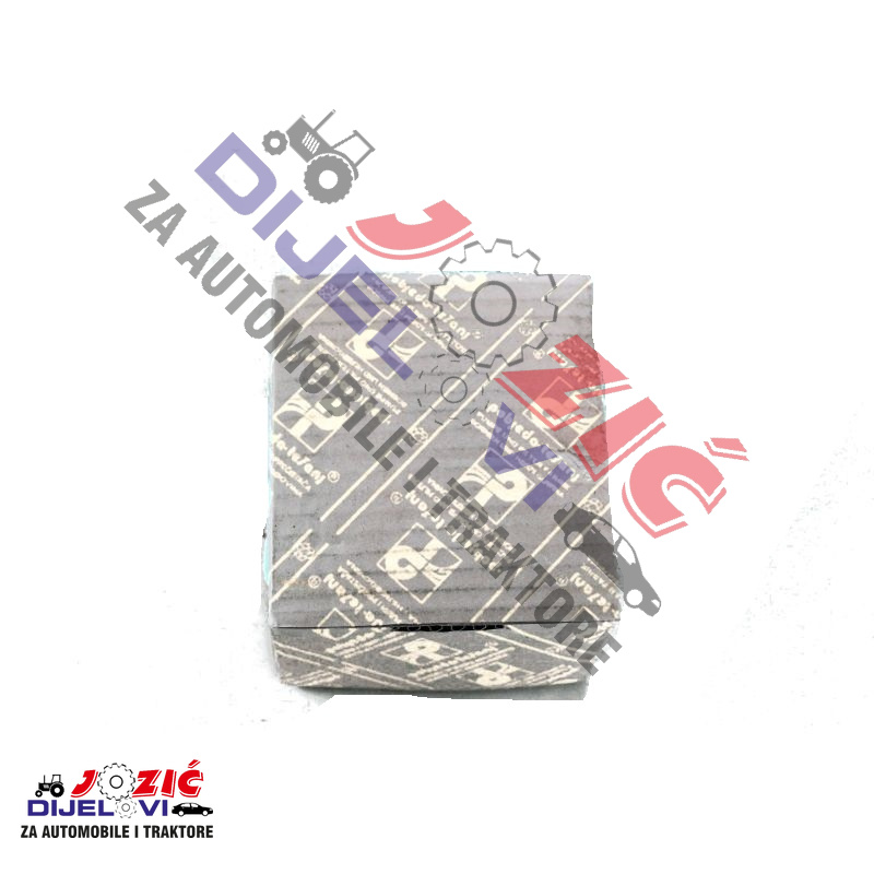 Daisy on the Ohoopee