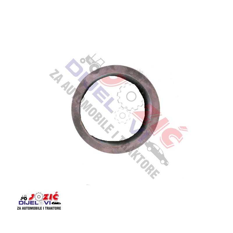 Daisy on the Ohoopee