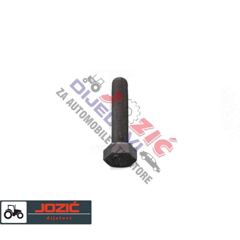 Daisy on the Ohoopee