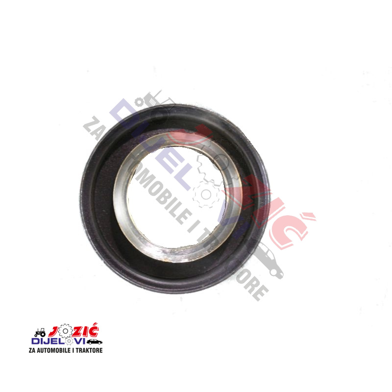 Daisy on the Ohoopee