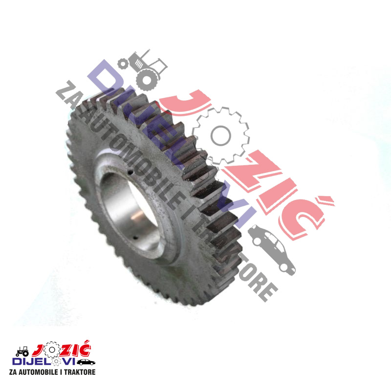 Daisy on the Ohoopee