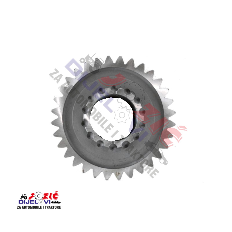 Daisy on the Ohoopee