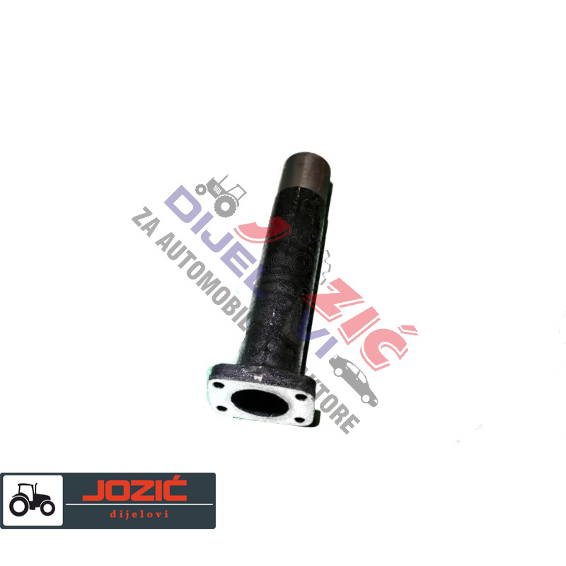 Daisy on the Ohoopee