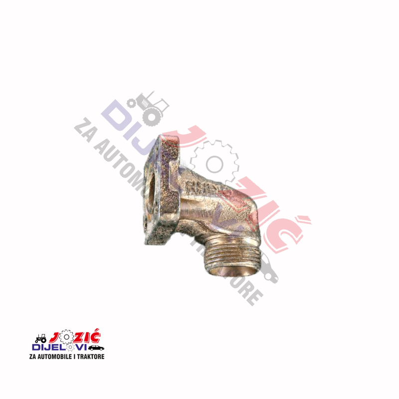 Daisy on the Ohoopee