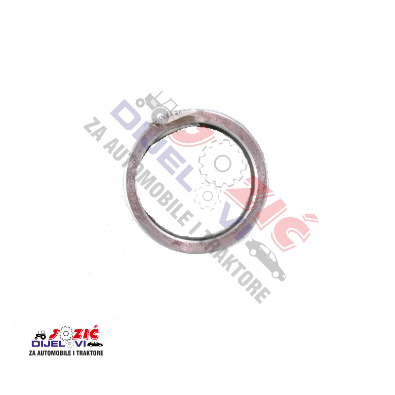 Daisy on the Ohoopee