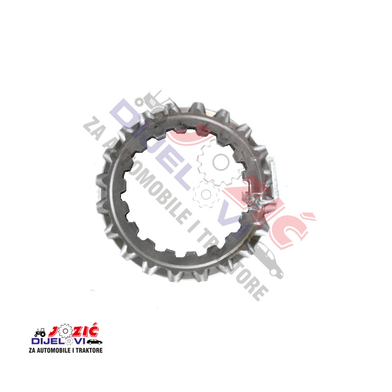 Daisy on the Ohoopee