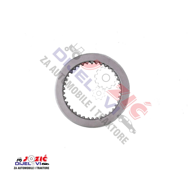 Daisy on the Ohoopee