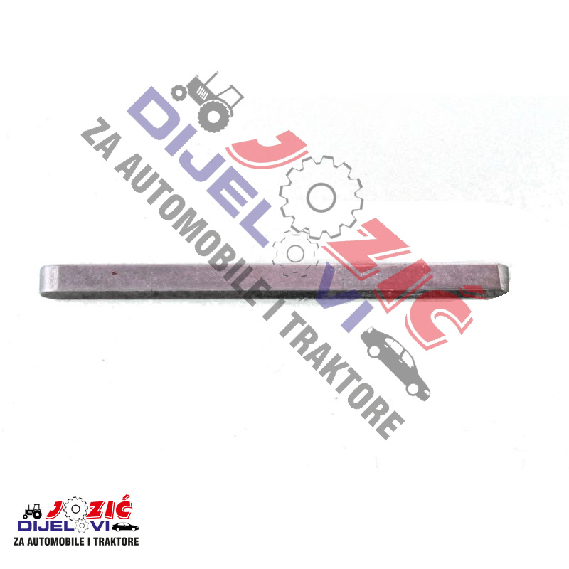 Daisy on the Ohoopee