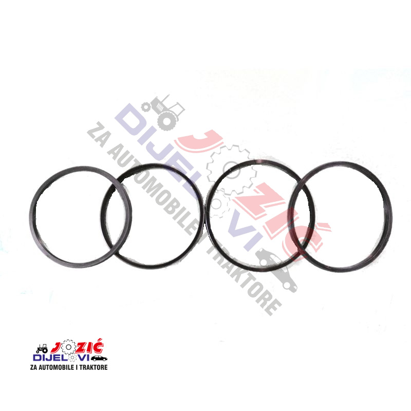 Daisy on the Ohoopee