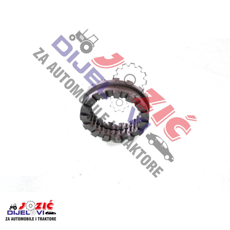 Daisy on the Ohoopee