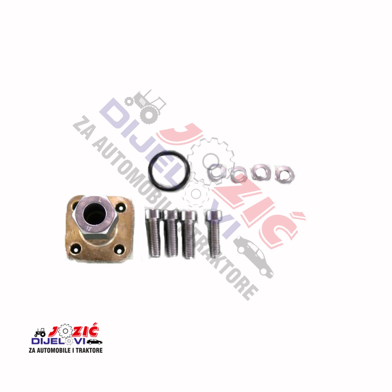 Daisy on the Ohoopee