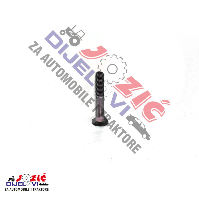 Daisy on the Ohoopee