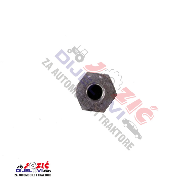 Daisy on the Ohoopee