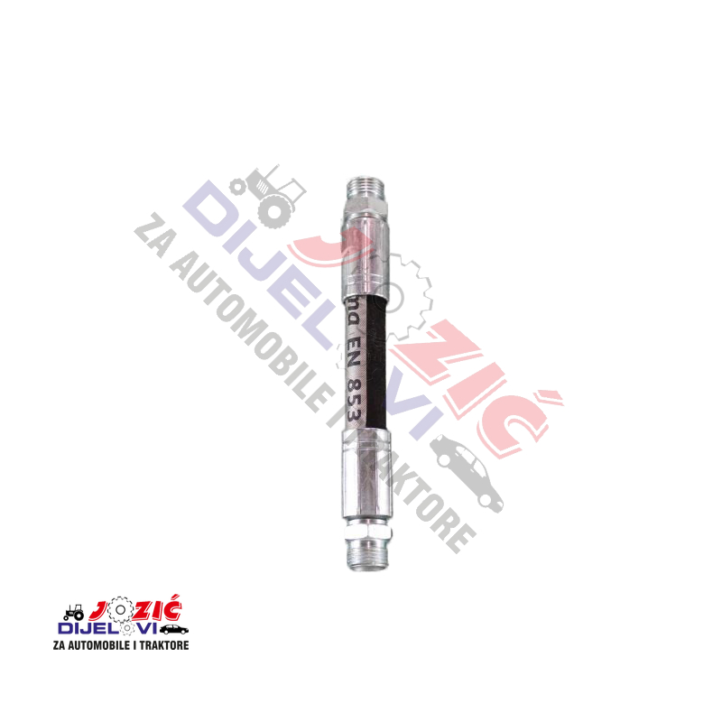 Daisy on the Ohoopee