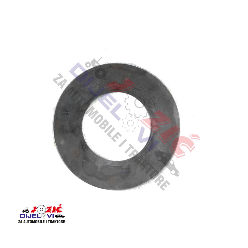 Daisy on the Ohoopee