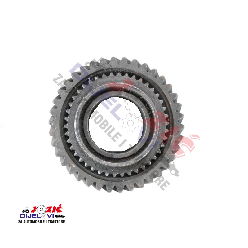 Daisy on the Ohoopee