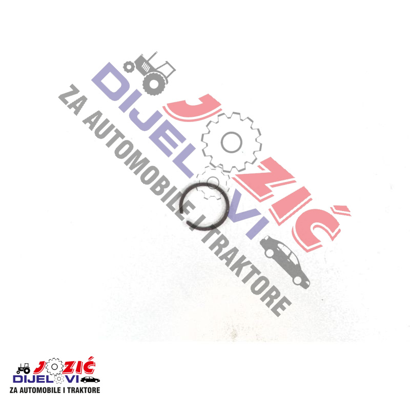 Daisy on the Ohoopee